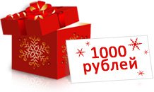 Бонус-купон 1000 руб. для новогодних покупок на сайте Он и Она