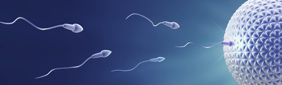 Secrets of male seed. You definitely didn&#8217;t know about sperm!