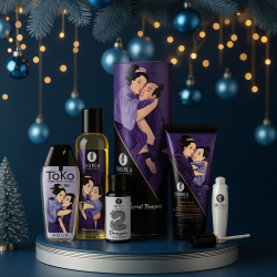 Новогодний набор Плотские утехи. 5 предметов, Shunga