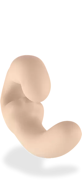 Анатомический страпон Fun Factory Sharevibe, безремневой, со съемной вибропулей, 22 см, бежевый