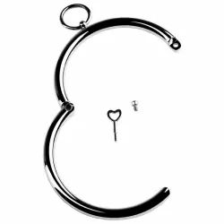 Металлический ошейник с маленьким колечком Toyfa Metal – серебристый