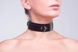 Кожаный ошейник Вайлдкат ||