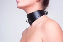 Ошейник СанСтоун || с кольцом (черный, двухслойный)