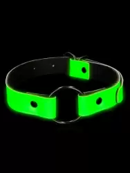 Люминисцентный кляп Shots toys Ouch!, с металлическим кольцом