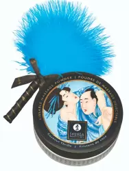 Ароматизированная массажная пудра Shunga Кокосовое Волнение, без добавления сахара, 290 г