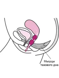 Вагинальные шарики со смещенным центром тяжести Fun Factory Smartballs Duo, силикон, фиолетовые