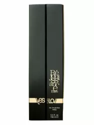 Парфюмерная вода для мужчин YESforLOV Rejouissance, 100 мл