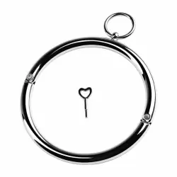 Металлический ошейник с маленьким колечком Toyfa Metal – серебристый