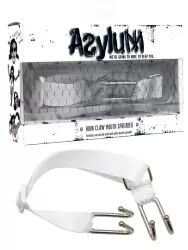 Расширитель для рта с ошейником Asylum Hook Claw Mouth Spreader