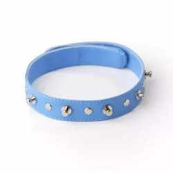 Ошейник голубой