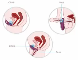 Winni Violet Эрекционное кольцо с вибрацией и пультом