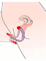 Универсальный стимулятор-расширитель Intimate Spreader, с гибким хребтом, 28 см, сиреневый