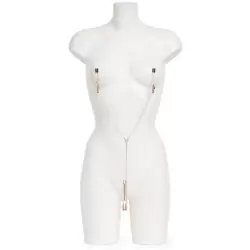 Набор из зажимов для сосков и половых губ с цепью All Sensation - золотистый