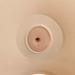 Реалистичная кукла Jenna Jameson