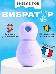 Бесконтактный стимулятор клитора Shibae Toys, 9,6 см, силикон, серебристый