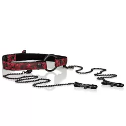 Кляп-рамка Scandal Open Mouth Gag with Clamps с зажимами на соски