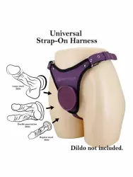 Элегантные трусы для страпона Baile HARNESS BRIEFS, фиолетовые