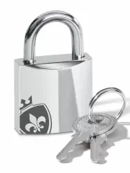 Пояс верности для мужчин Mystim Pubic Enemy No 1 с электропроводящей поверхностью, 8,2 см, золотой