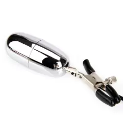 Виброзажимы на соски с пультом управления Flirt – серебристый