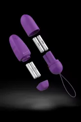 Виброяйцо с пультом управления Bnaughty Classic. Фиолетовый