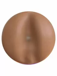 Реалистичный мастурбатор Fleshlight Boost Blast Female, с плавающими кольцами «Turbo Tech», 24,8 см, анус, телесный