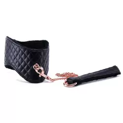 Ошейник Entice Posture Collar with Leash с поводком – черный