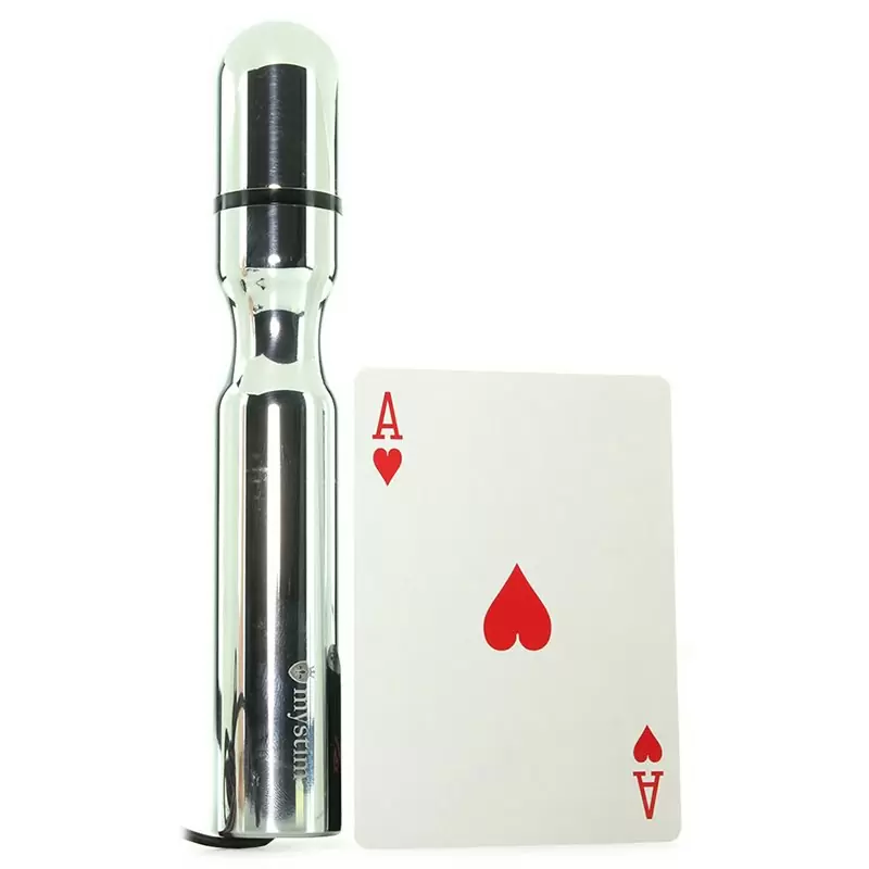 Массажер Double Dan с электростимуляцией – серебристый