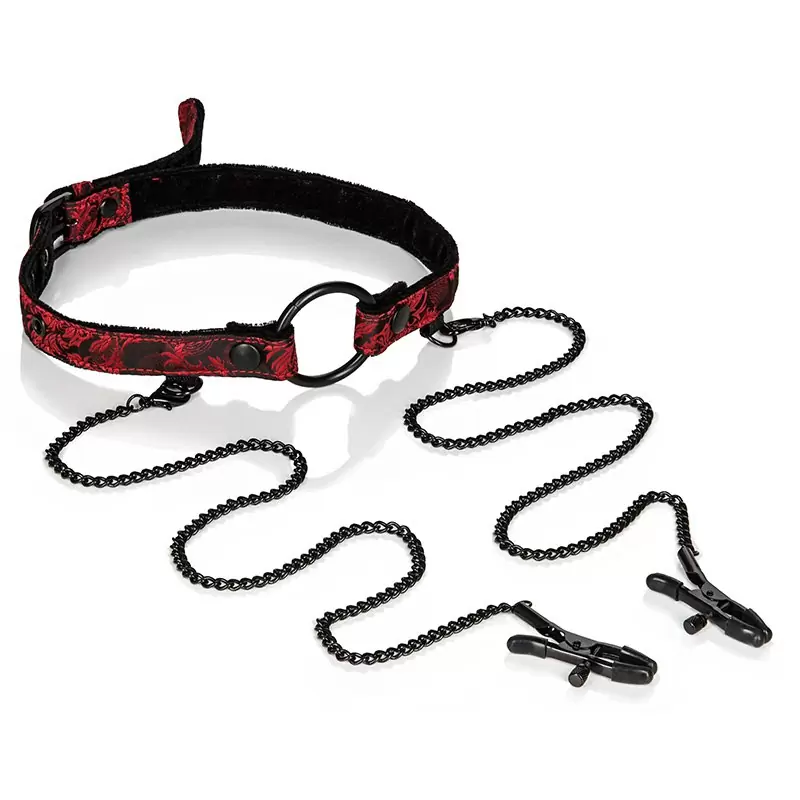 Кляп-рамка Scandal Open Mouth Gag with Clamps с зажимами на соски