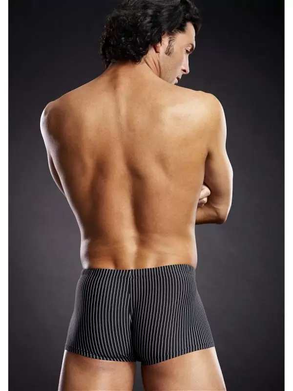 Транк-боксеры BlueLine из микрофибры в черно-белую полоску – L/XL