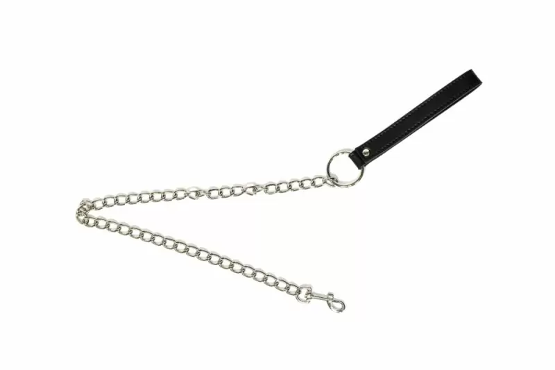 Металлический поводок Party Hard Willpower