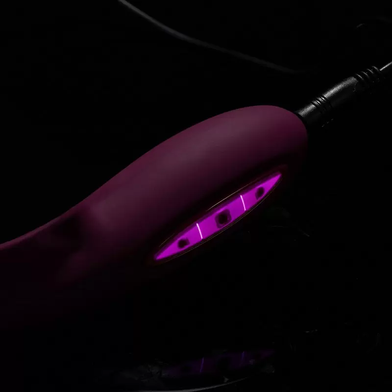 Вибромассажер Leo для точки G с интеллектуальным режимом – фиолетовый
