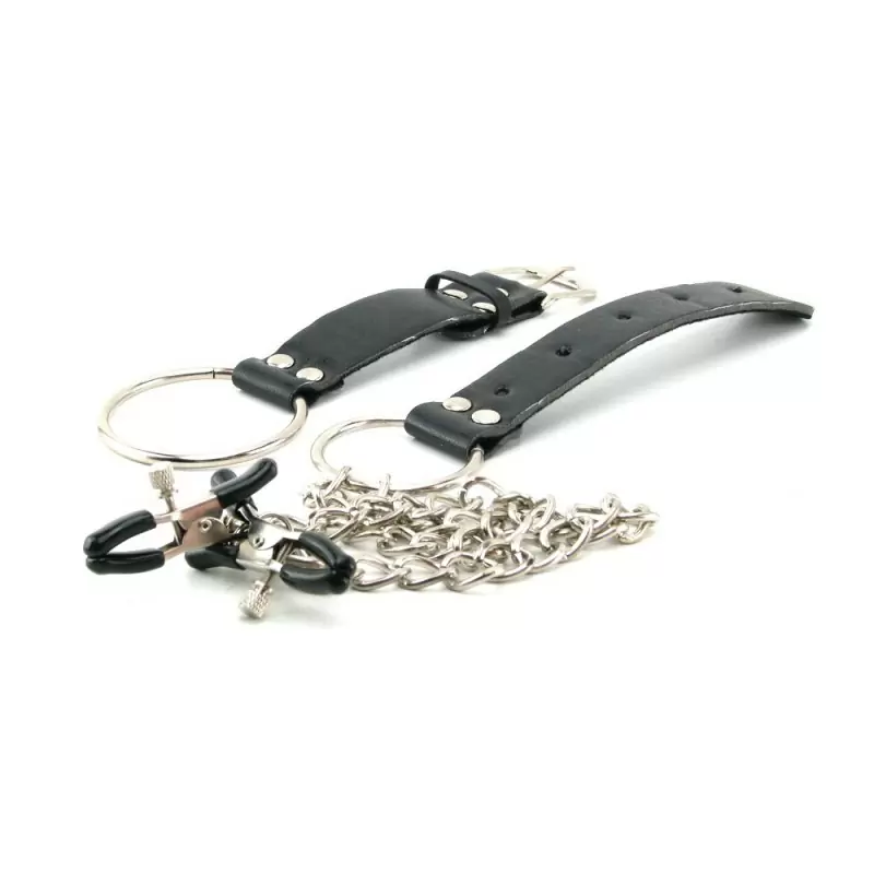 Зажимы на соски с утяжкой для пениса Fetish Fantasy