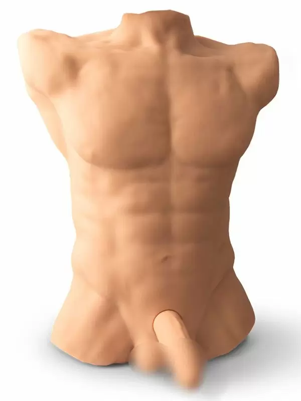 Apollo - реалистичная секс-кукла в форме торса с фаллоимитатором | Он и Она 18+