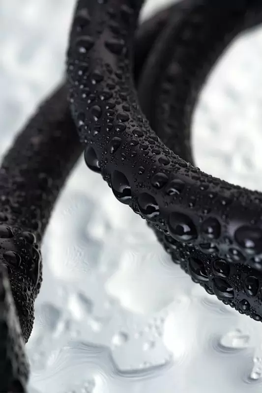 Вакуумная помпа для пениса TOYFA A-Toys с текстурированной вставкой – черный