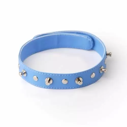 Ошейник голубой