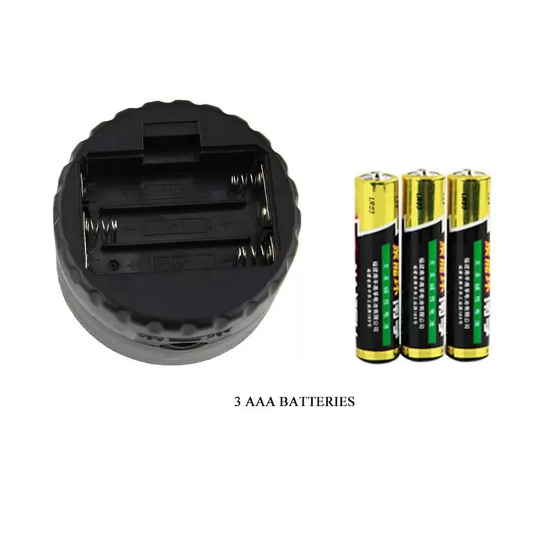 Вагина в футляре Pink Pussy с многоуровневой вибрацией – телесный