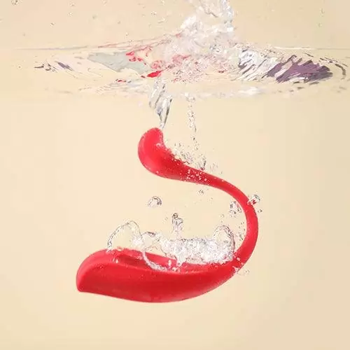 Интерактивный вибратор Phoenix Neo 2