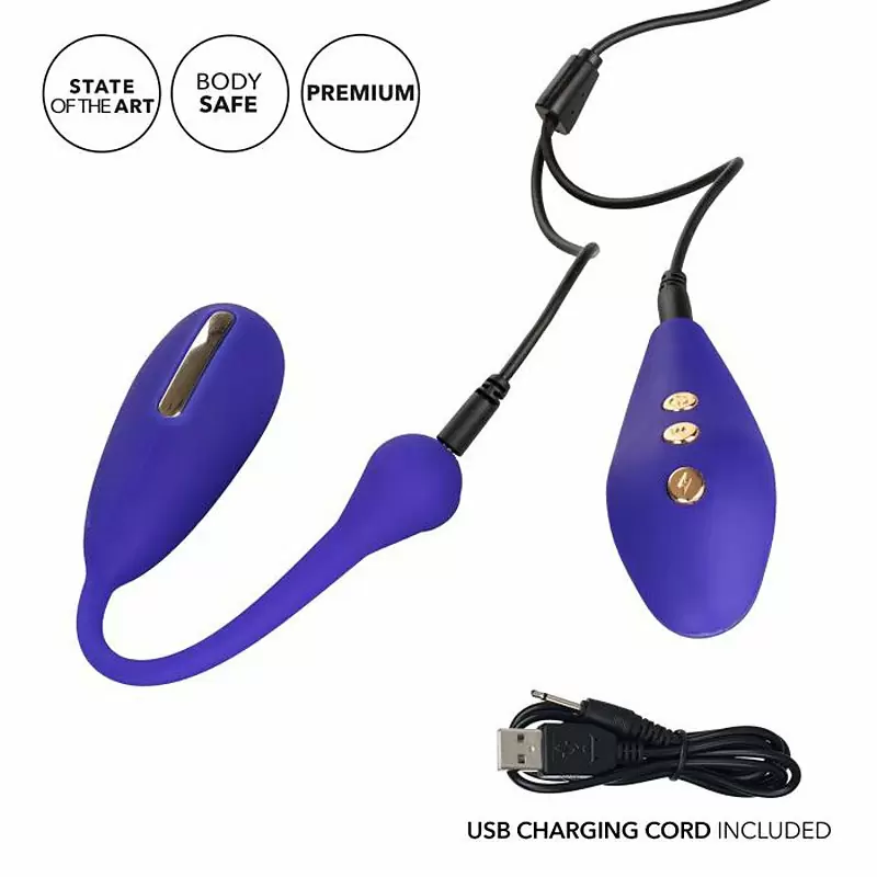Виброяйцо Impuls Remote Kegel Exerciser с электростимуляцией – фиолетовый
