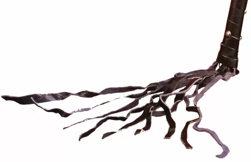 Плетка Cat O'Nine Tails