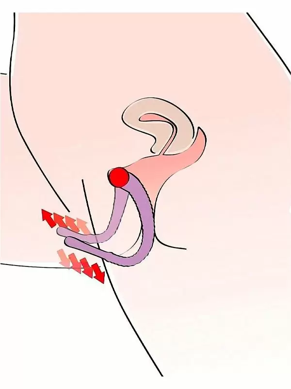 Универсальный стимулятор-расширитель Intimate Spreader, с гибким хребтом, 28 см, сиреневый