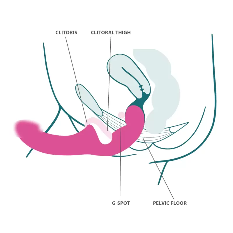 Анатомический страпон Fun Factory Share Lite, безремневой, диаметр 3,8 см, вишневый