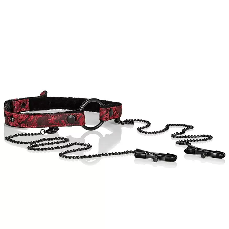 Кляп-рамка Scandal Open Mouth Gag with Clamps с зажимами на соски