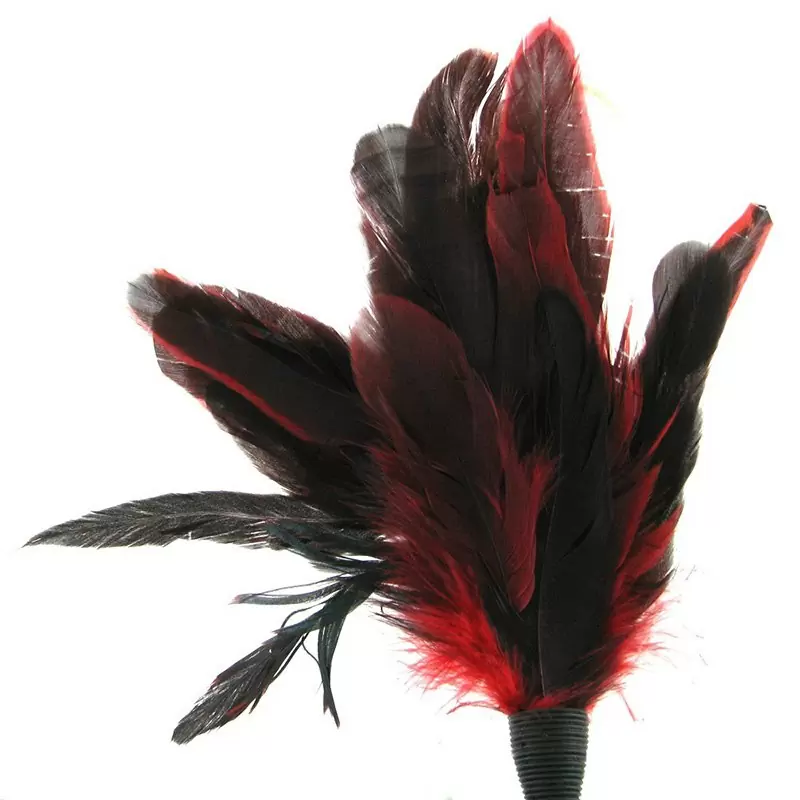 Пуховка для щекотания Feather Tickler