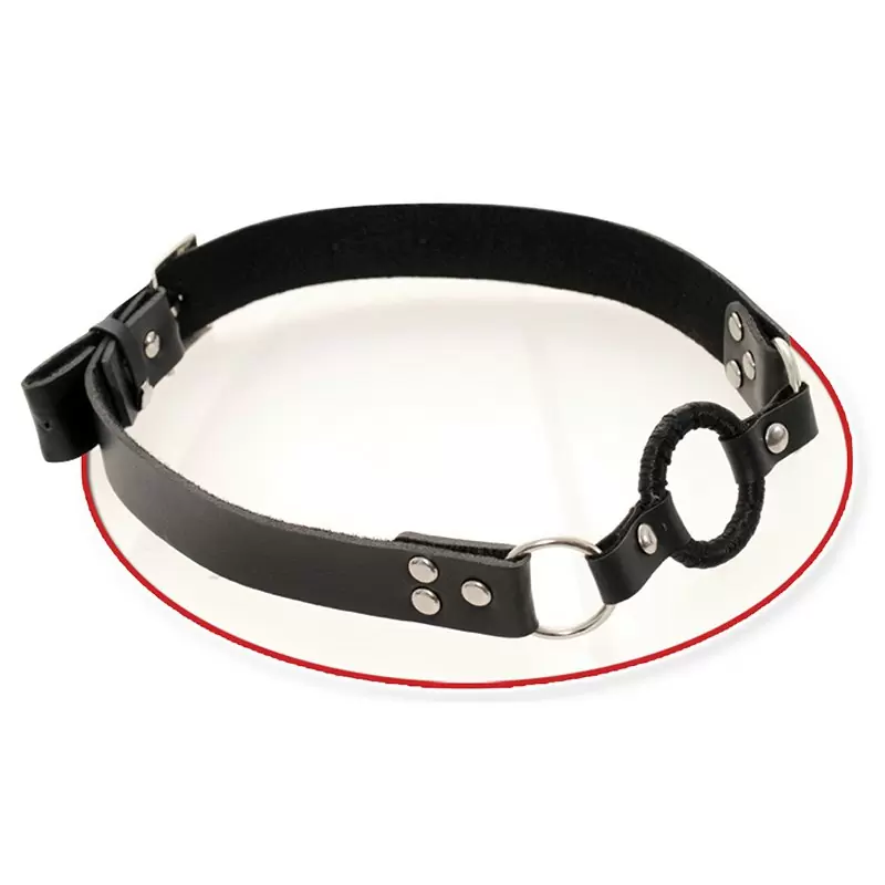 Открытый кляп Open Mouth Gag