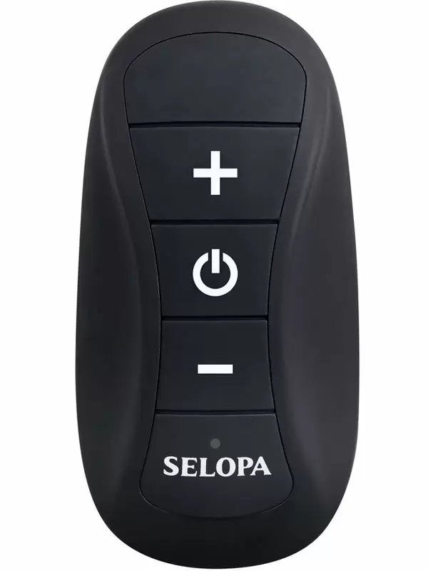 Анальная пробка Evolved Black Beauty, с вибрацией, с пультом ДУ, 7 режимов, 3 скорости, черный