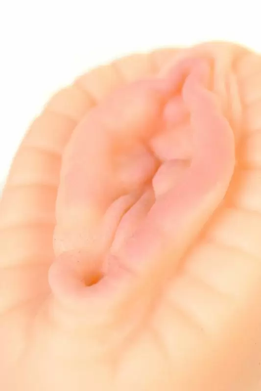 Мастурбатор-вагина TOYFA Hot Bloom - телесный