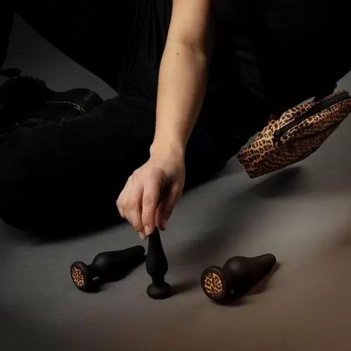 Набор анальных пробок Kesia в стильной косметичке