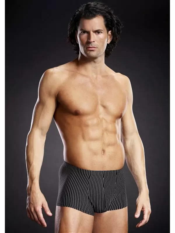 Транк-боксеры BlueLine из микрофибры в черно-белую полоску – L/XL